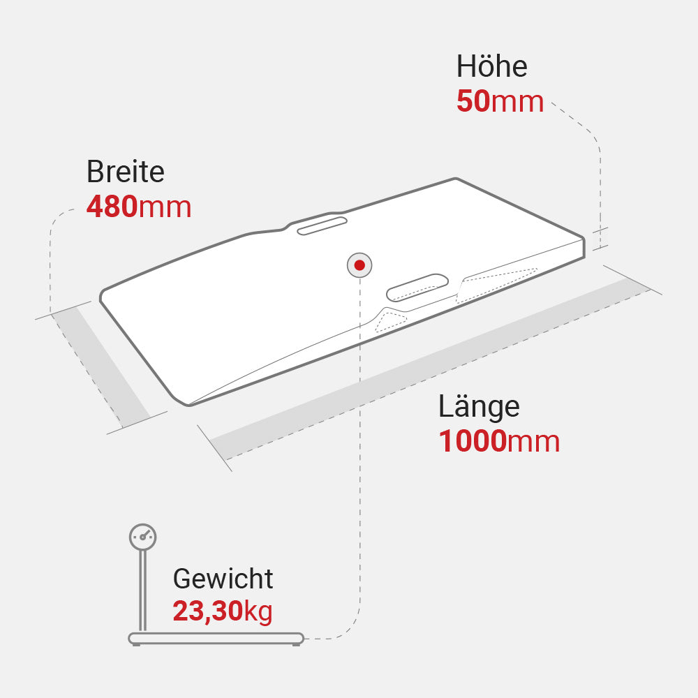 techische Zeichnung mit den Abmessungen und dem Gewicht